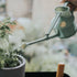 Langley Sprinker One Pint Watering Can (Sage Green)